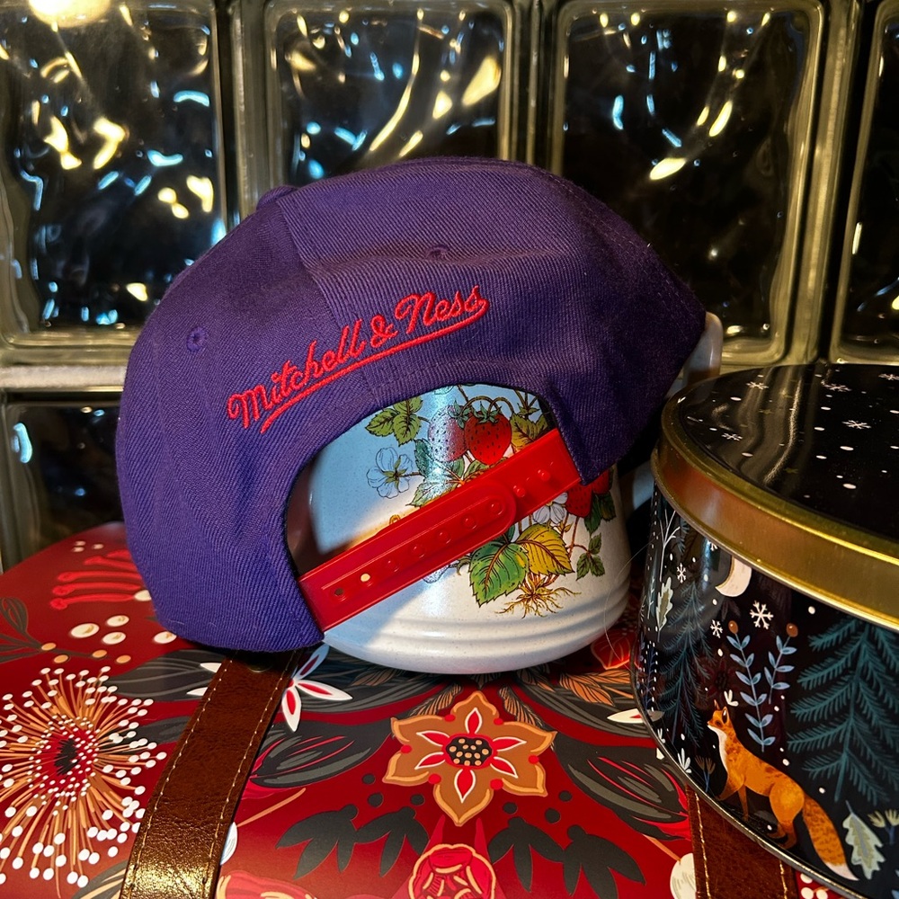 Retro Raptors Snapback - Picture 2 of 5